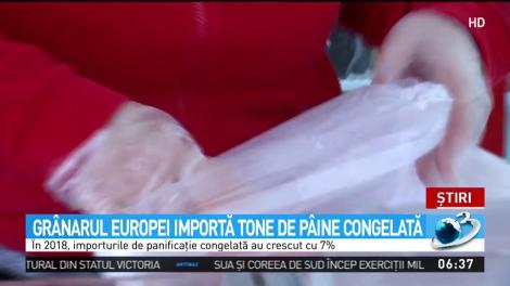 Gr&acirc;narul Europei importă tone de p&acirc;ine congelată