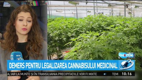 Demers pentru legalizarea cannabisului medical