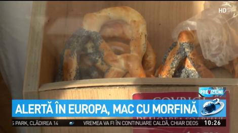 Alertă &icirc;n Europa, mac cu morfină