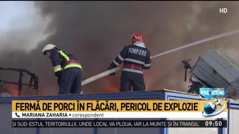 Fermă de porci în flăcări, pericol de explozie