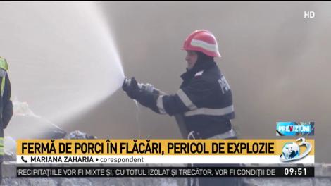 Fermă de porci din județul Argeș, în flăcări. Pericol de explozie