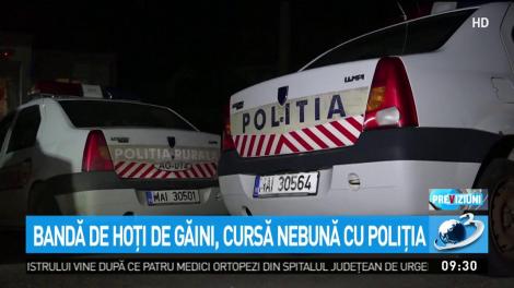 Bandă de hoţi de găini, cursă nebună cu poliţia