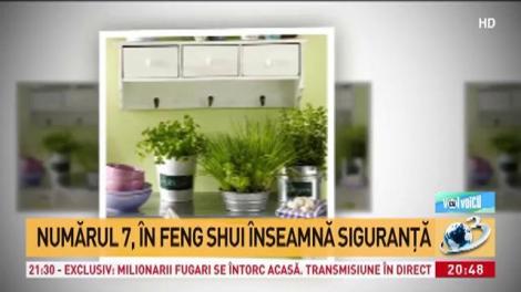 Secretele Feng Shui, pe &icirc;nțelesul tuturor