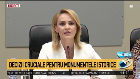 Gabriela Firea: Avem nevoie de pasarele pietonale