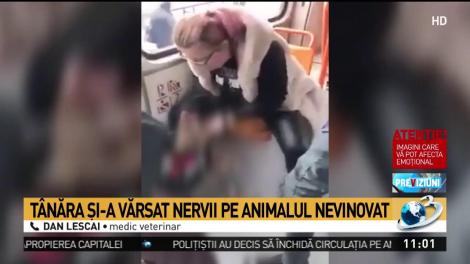 Imagini șocante surprinse &icirc;ntr-un tramvai din Capitală. C&acirc;ine bătut crunt de propria stăp&acirc;nă