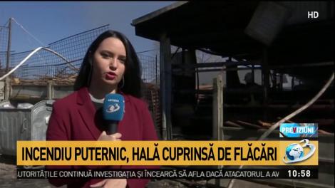 Informaţii noi despre incendiul din Baloteşti