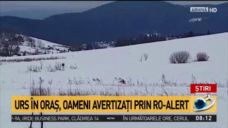 Urs &icirc;n oraş, oameni avertizaţi prin RO-Alert
