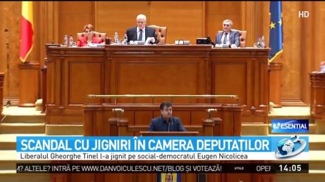 Scandal cu jignri &icirc;n Camera Deputaţilor