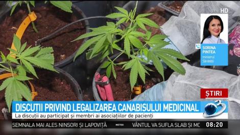 Discuţii privind legalizarea canabisului medicinal