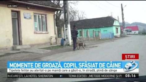 Momente de groază. O fetiţă de 7 ani a fost sf&acirc;şiată de c&acirc;ine