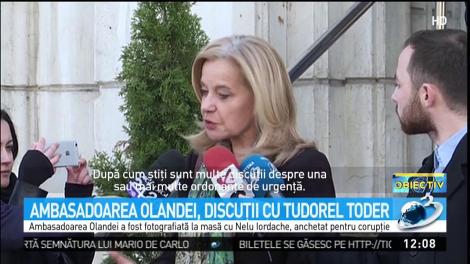 Ambasadorul Olandei, &icirc;ngrijorată la ministerul Justiției: Am auzit de o ordonanță care vizează amendamente aduse Codului Penal