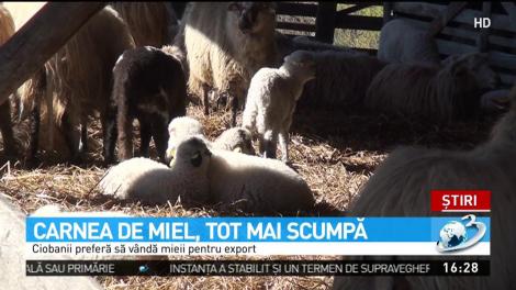 Carnea de miel, tot mai scumpă! Ce a determinat creșterea prețurilor