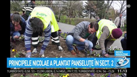 Nepotul Regelui Mihai, la plantat panseluțe