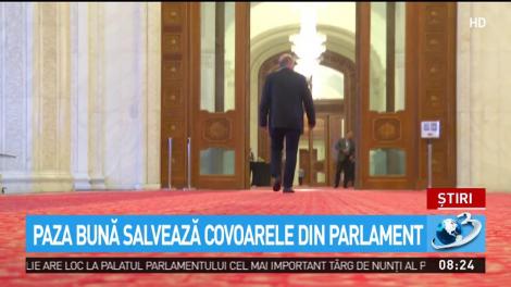Paza bună salvează covoarele din Parlament