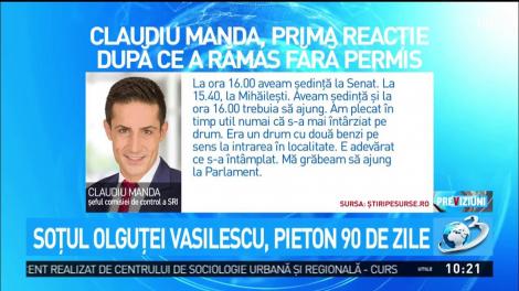 Soţul Olguţei Vasilescu, pieton 90 de zile