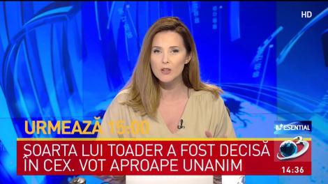 PSD i-a retras sprijinul politic lui Tudorel Toader. Decizia a fost luată &icirc;n ședința CEx
