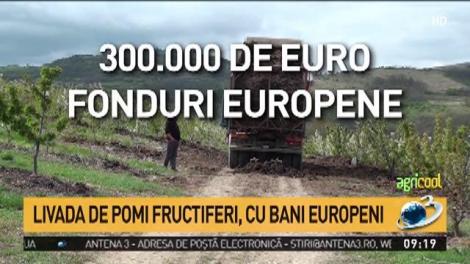 Agricool. Livada, vis transformat &icirc;n afacere de succes