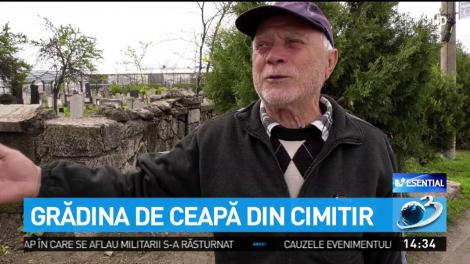 Gradina de ceapă din cimitir