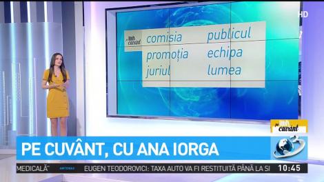 Pe cuv&acirc;nt, cu Ana Iorga. O nouă lecţie despre acordul dintre subiect şi predicat: substantivul colectiv