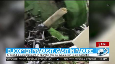 Descoperire șocantă &icirc;ntr-o pădure din Rom&acirc;nia