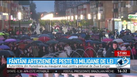 F&acirc;nt&acirc;ni artizanale de peste 10 milioane de lei