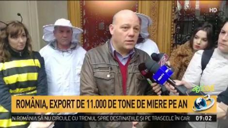 Agricool. Albinele, decimate de vremea rea și pesticide