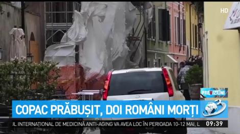 Sfârșit tragic pentru doi români din Italia. Un copac s-a prăbușit peste ei. Cei doi frați nu au mai avut nicio șansă