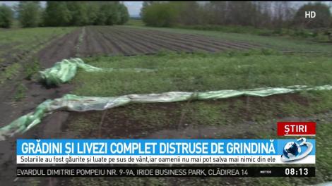 Grădini şi livezi complet distruse de grindină
