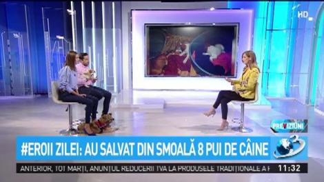 Au salvat din smoală 8 pui de c&acirc;ine