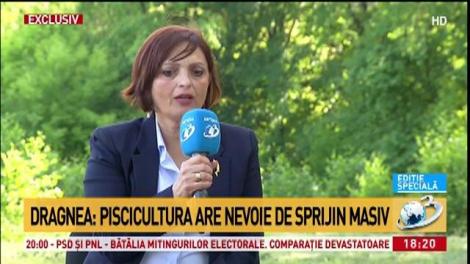 Liviu Dragnea: „Prin tot ceea ce am făcut, deranjăm filieră cu filieră, mafie cu mafie”