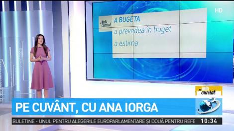 Cum folosim verbul &bdquo;a bugeta&rdquo; și de unde provine