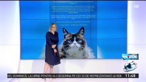 Momentele virale din această săptămână! Poza de cover a Parlamentului European, anunțul de înmormâântare a lui Grumpy Cat și numele celui de-al patrulea copil a lui Kim Kardashian