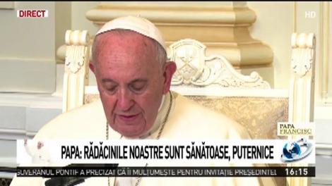 Mesajul Papei Francisc: Să nu cedăm seducției unei culturi a urii