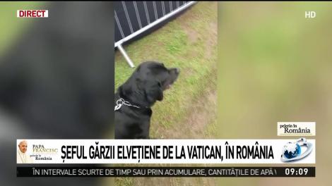 Pongo, c&acirc;inele care &icirc;l apără pe Papa Francisc &icirc;n vizita din Rom&acirc;nia