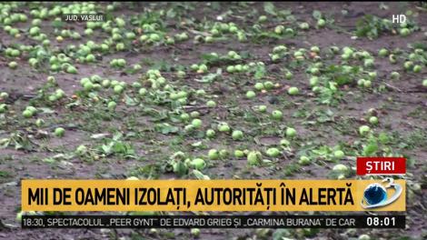 Video care vă poate afecta emoțional. Imaginile apocalipsei în România: „Ne-a blestemat Dumnezeu pentru că suntem răi”