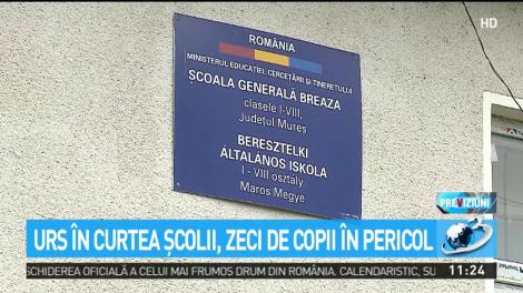Urs &icirc;n curtea şcolii, zeci de copii &icirc;n pericol