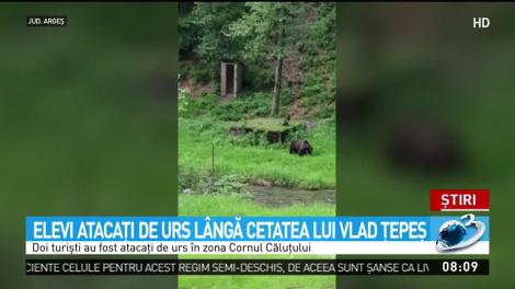Elevi atacaţi de ursoaică, lângă cetatea lui Vlad Ţepeş! „Acum câteva minute a fugărit niște copii” - Video