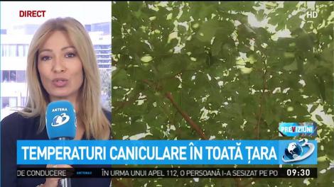 Vremea. Temperaturi caniculare în toată țara