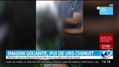 Imagini şocante, pui de urs chinuit