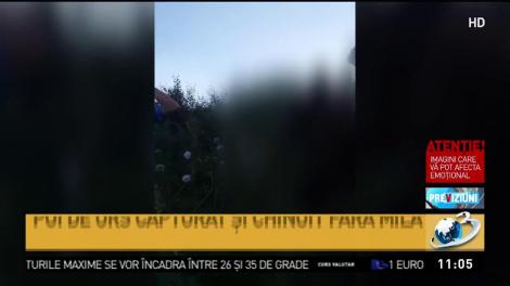 Imagini șocante. Pui de urs capturat și chinuit fără milă