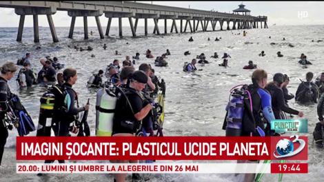 Imagini șocante: plasticul ucide planeta