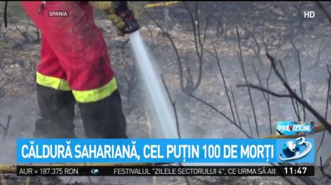 Căldură sahariană, cel puţin 100 de morţi