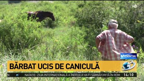 Canicula a făcut prima victimă în România! Un bărbat a fost găsit mort, pe un câmp din Vaslui