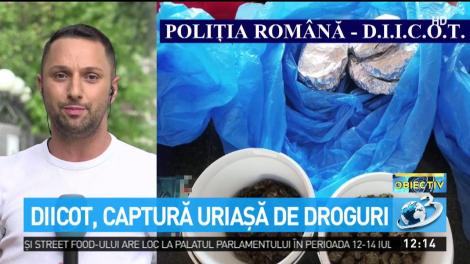 Patru tineri din Cluj, prinși în timp ce mergeau pe litoral cu zece kilograme de droguri