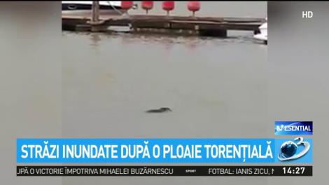 Ploaia torențială a făcut ravagii la Constanța! Străzile au fost inundate după o furtună violentă de 15 minute