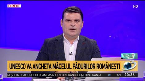 UNESCO va ancheta măcelul pădurilor rom&acirc;nești