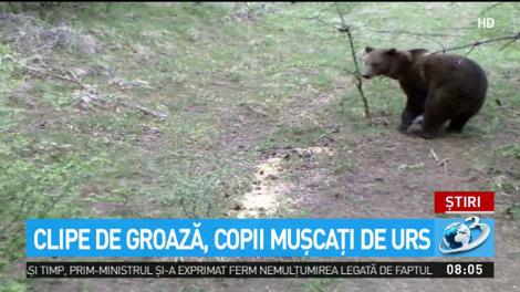 Clipe de groază, copii muşcaţi de urs
