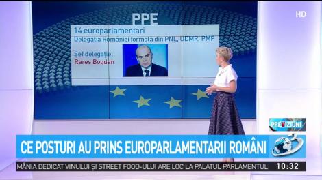 Ce posturi au prins europarlamentarii români