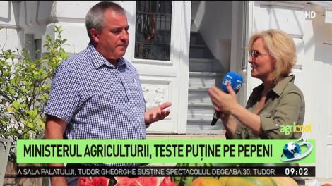 Cum recunoști pepenii forțați să se coacă