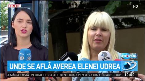Lupta Elenei Udrea cu funcționarii ANAF. Unde se află averea acesteia?